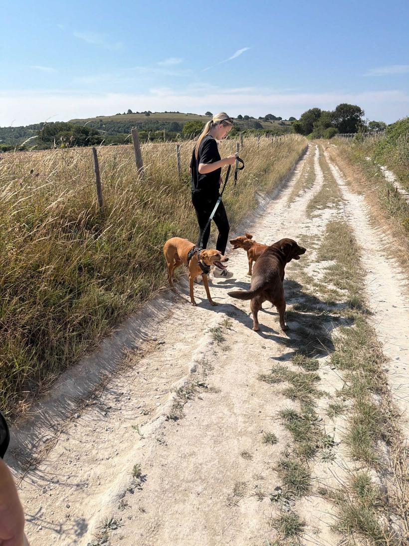 One of our walkers with the pack on the Downs above Worthing